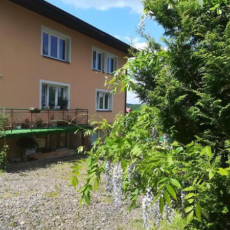 Noclegi Pod Lasem Solina 20 Exteriér fotografie