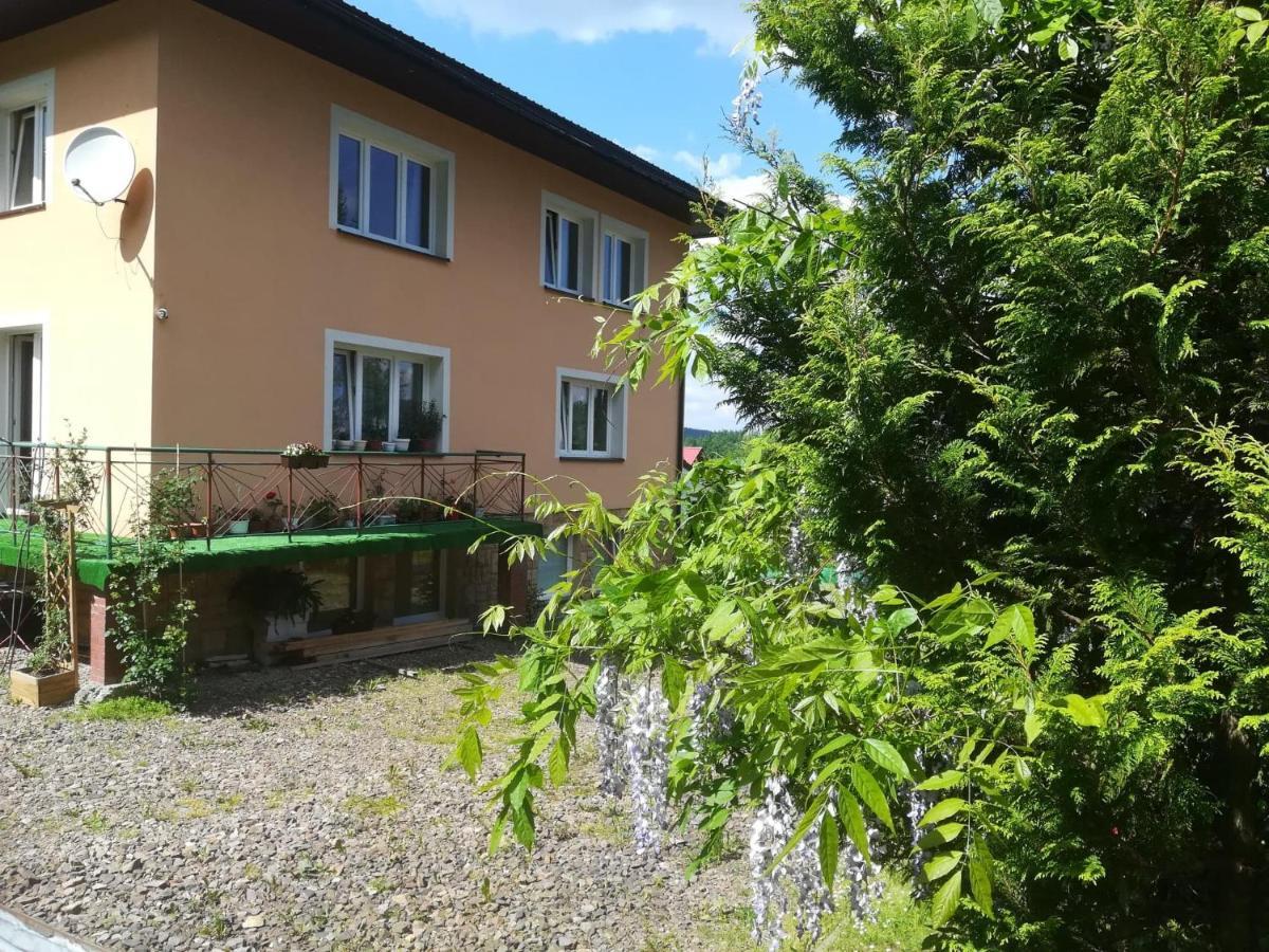 Noclegi Pod Lasem Solina 20 Exteriér fotografie