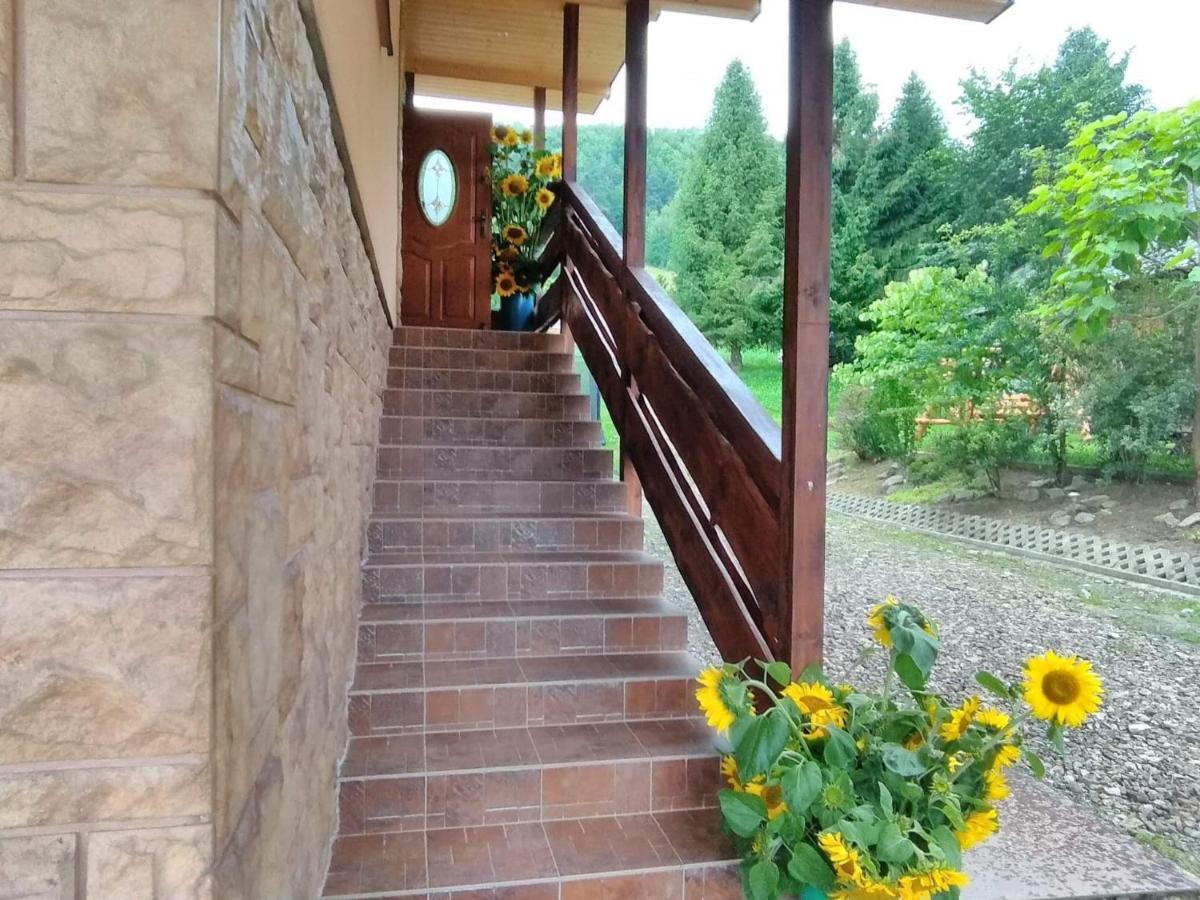 Noclegi Pod Lasem Solina 20 Exteriér fotografie
